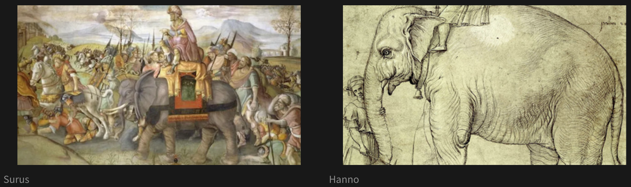 An artistic rendition of Surus, Hannibal's last war elephant, is on the left. Underneath this picture is the caption 'Surus.' On the right is a line drawing of Hanno, a famous elephant. Underneath this picture is the caption 'Hanno.'