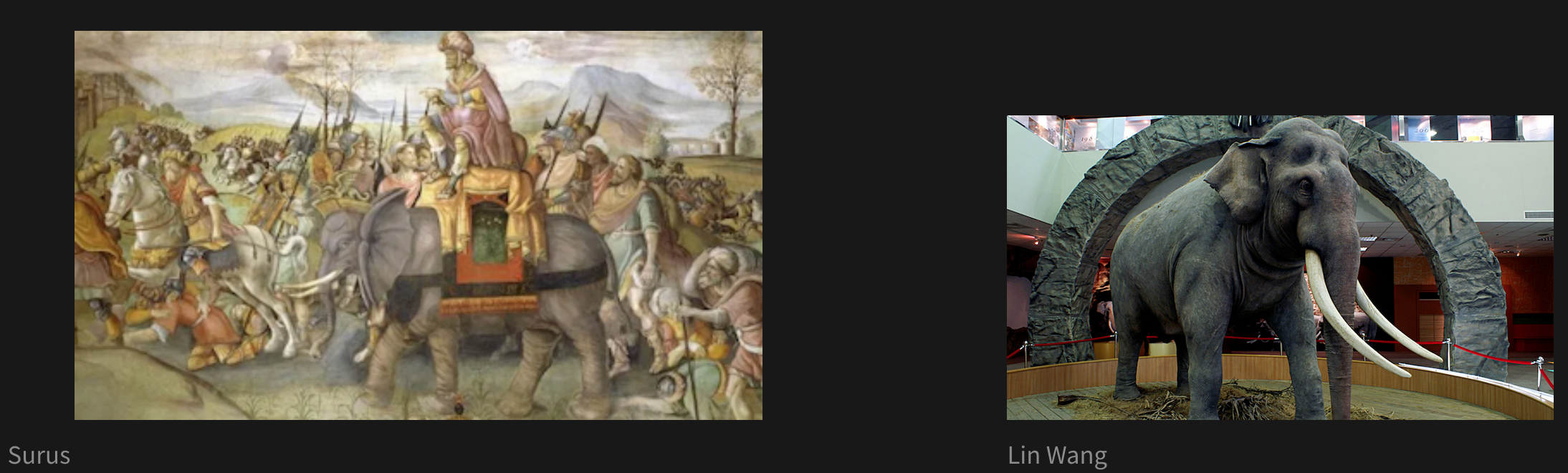 Two pictures of elephants side by side. The picture on the left has the label 'Figure 1: Surus' underneath it. The picture on the right has the label 'Figure 2: Lin Wang' underneath it. The figure on the left is more than twice the width and height of the figure on the right.